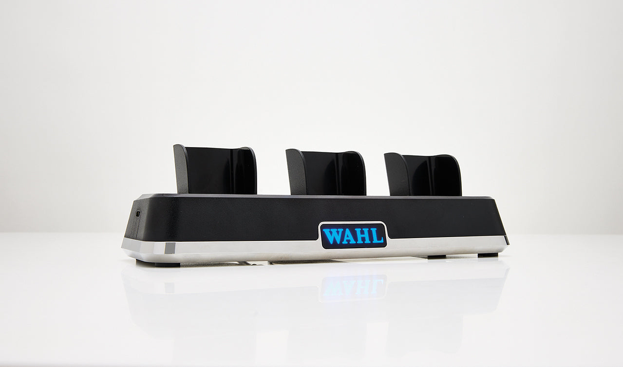 WAHL Power Station