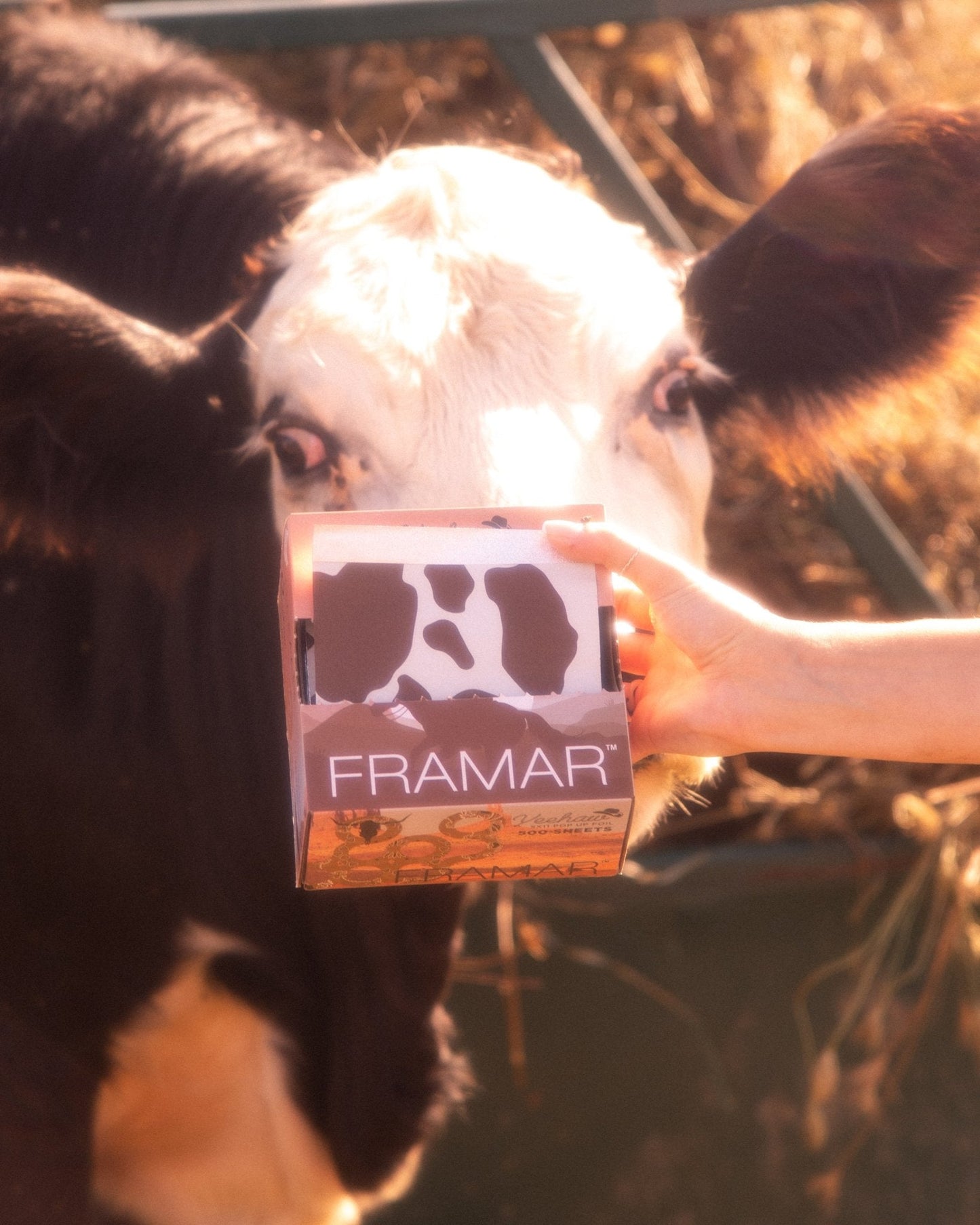 Framar YeeHaw Pop Ups 500 Sheets 5X11