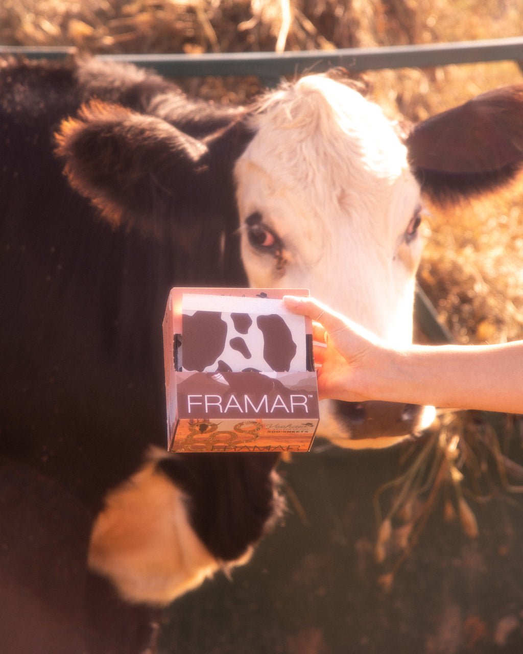Framar YeeHaw Pop Ups 500 Sheets 5X11 - Hairdressing Supplies