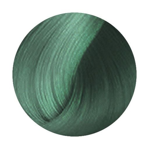 L'Oreal Flash Pro Hair Makeup 60ml - Hairdressing Supplies