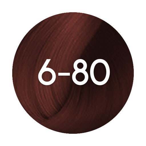 Schwarzkopf Igora Absolutes Permanent Hair Colour - 60ml - Hairdressing Supplies