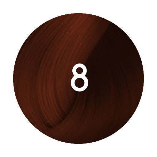 Schwarzkopf Igora Royal High Power Browns B-8 - Brown Red 60ml - Hairdressing Supplies