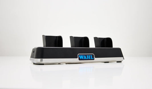 WAHL Power Station