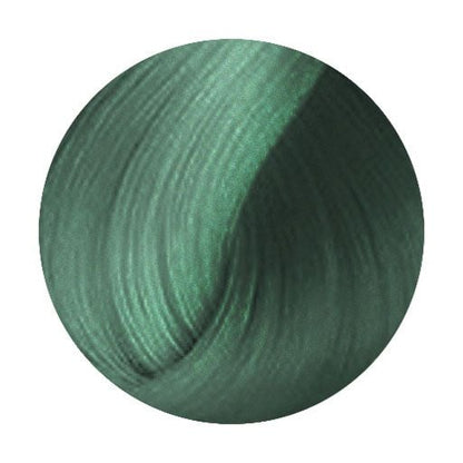 L'Oreal Flash Pro Hair Makeup 60ml - Hairdressing Supplies