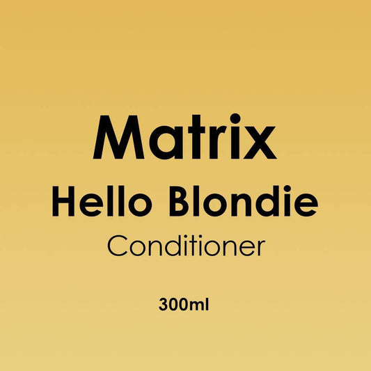 Matrix Total Results Hello Blondie Conditioner 300ml - Hairdressing Supplies